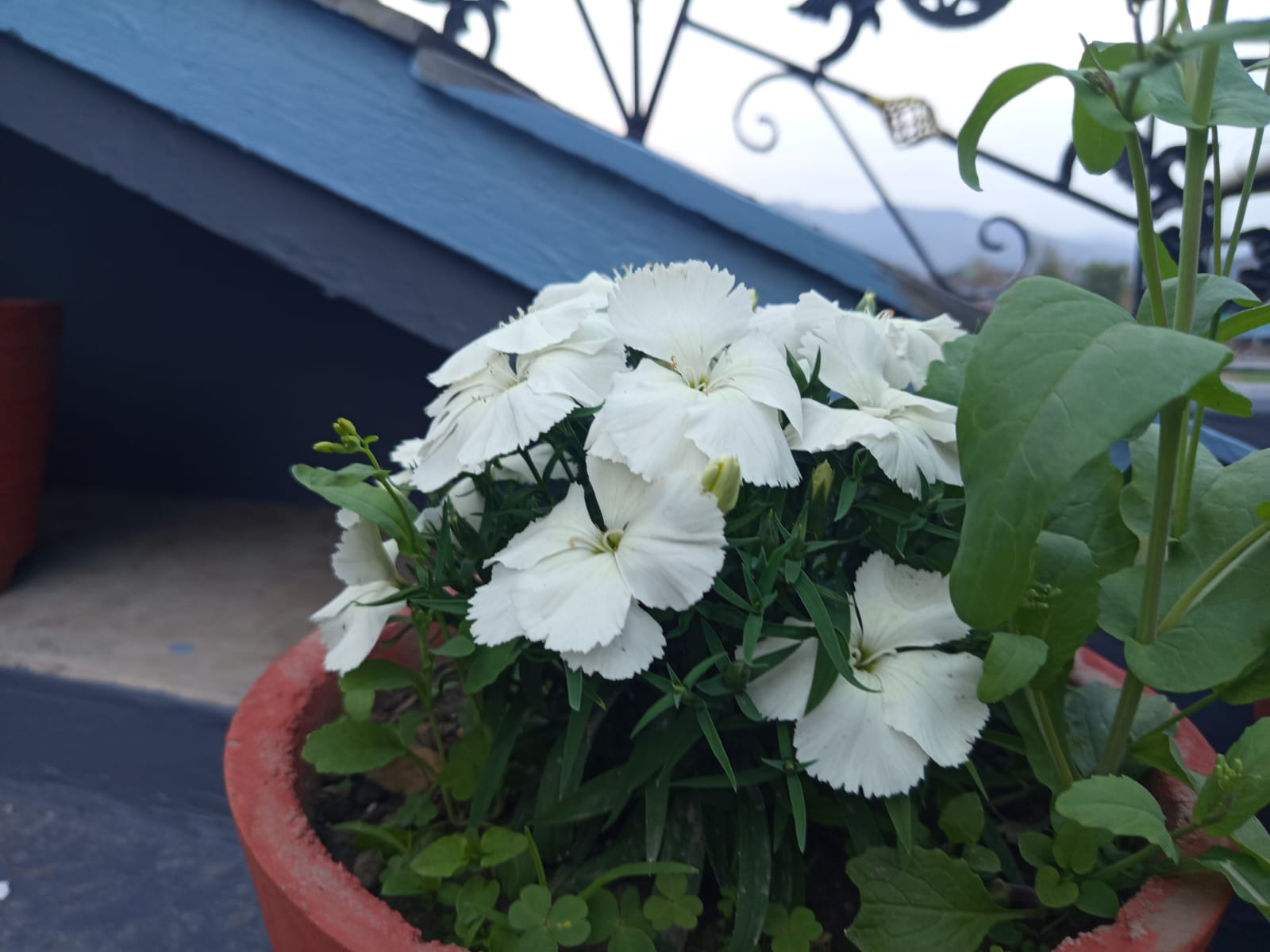 WhatsApp Image 2026 02 25 at 08.08.59