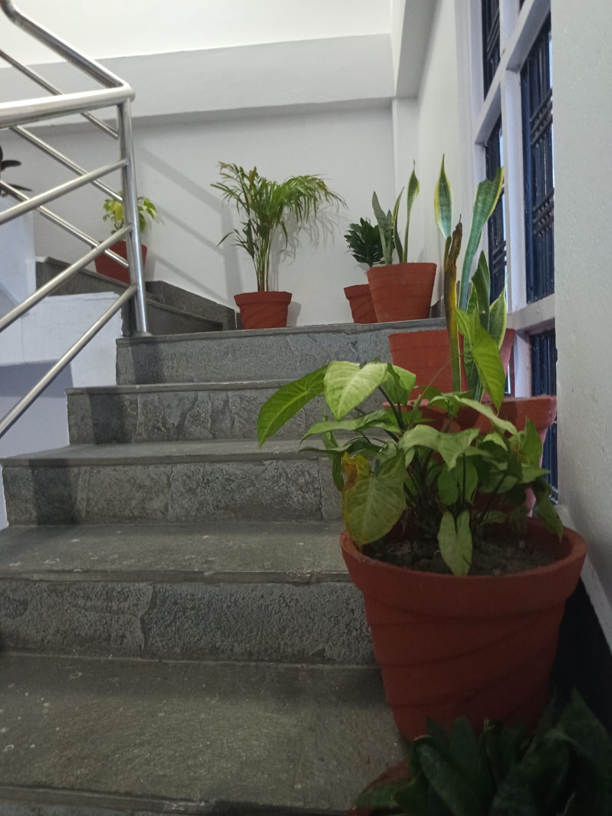 WhatsApp Image 2026 02 25 at 08.09.06