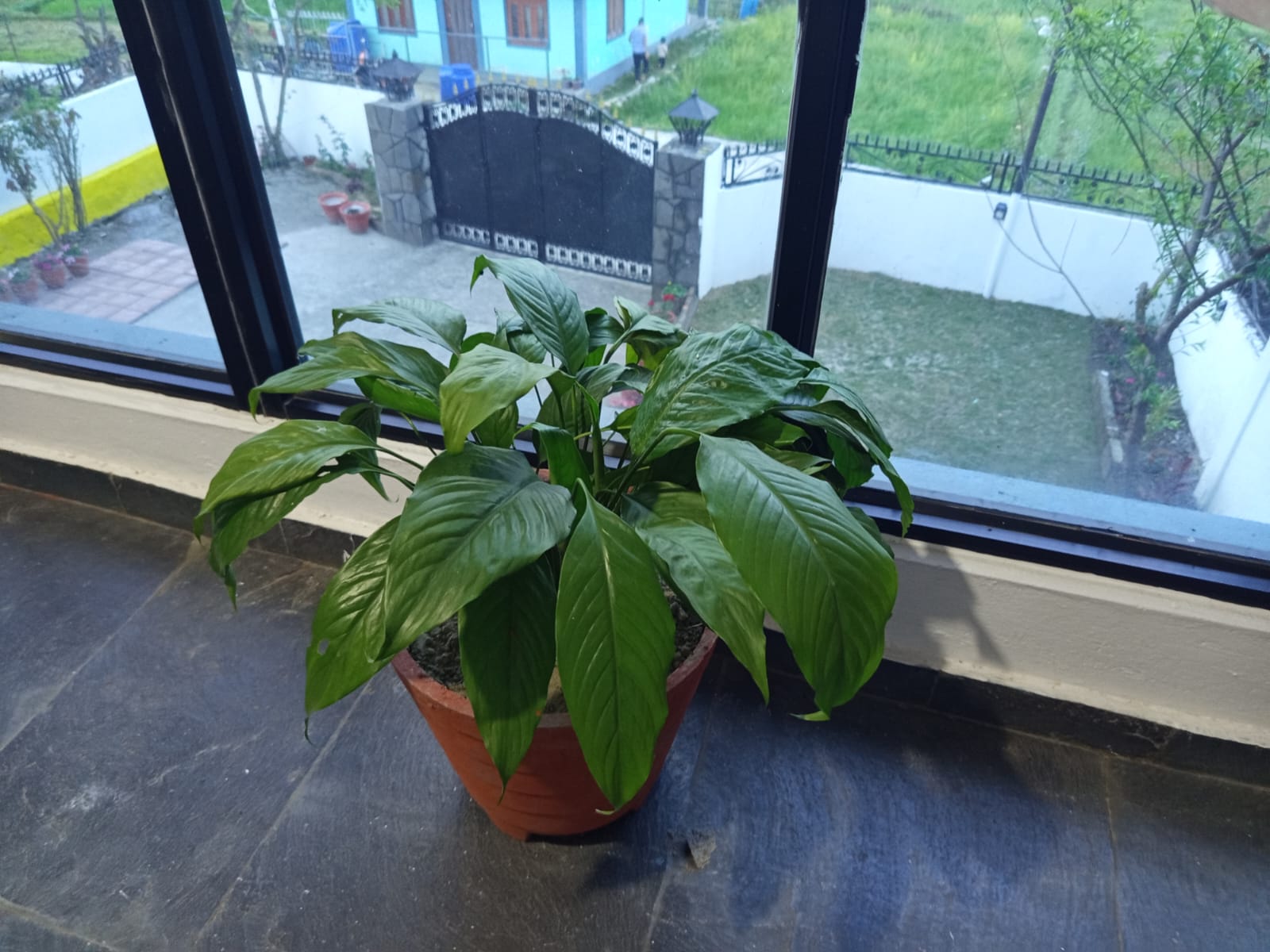 WhatsApp Image 2026 02 25 at 08.09.07