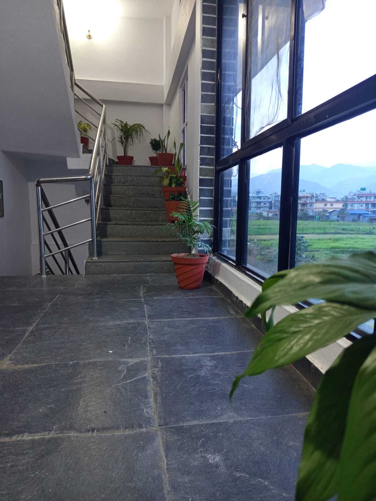 WhatsApp Image 2026 02 25 at 08.09.34