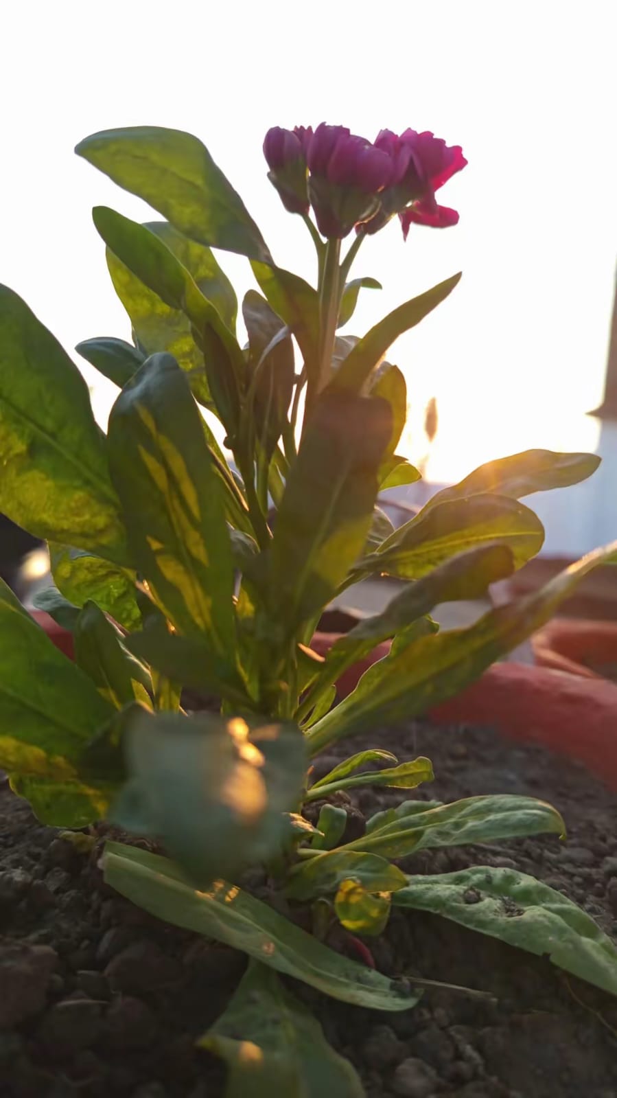 WhatsApp Image 2026 02 25 at 08.10.14