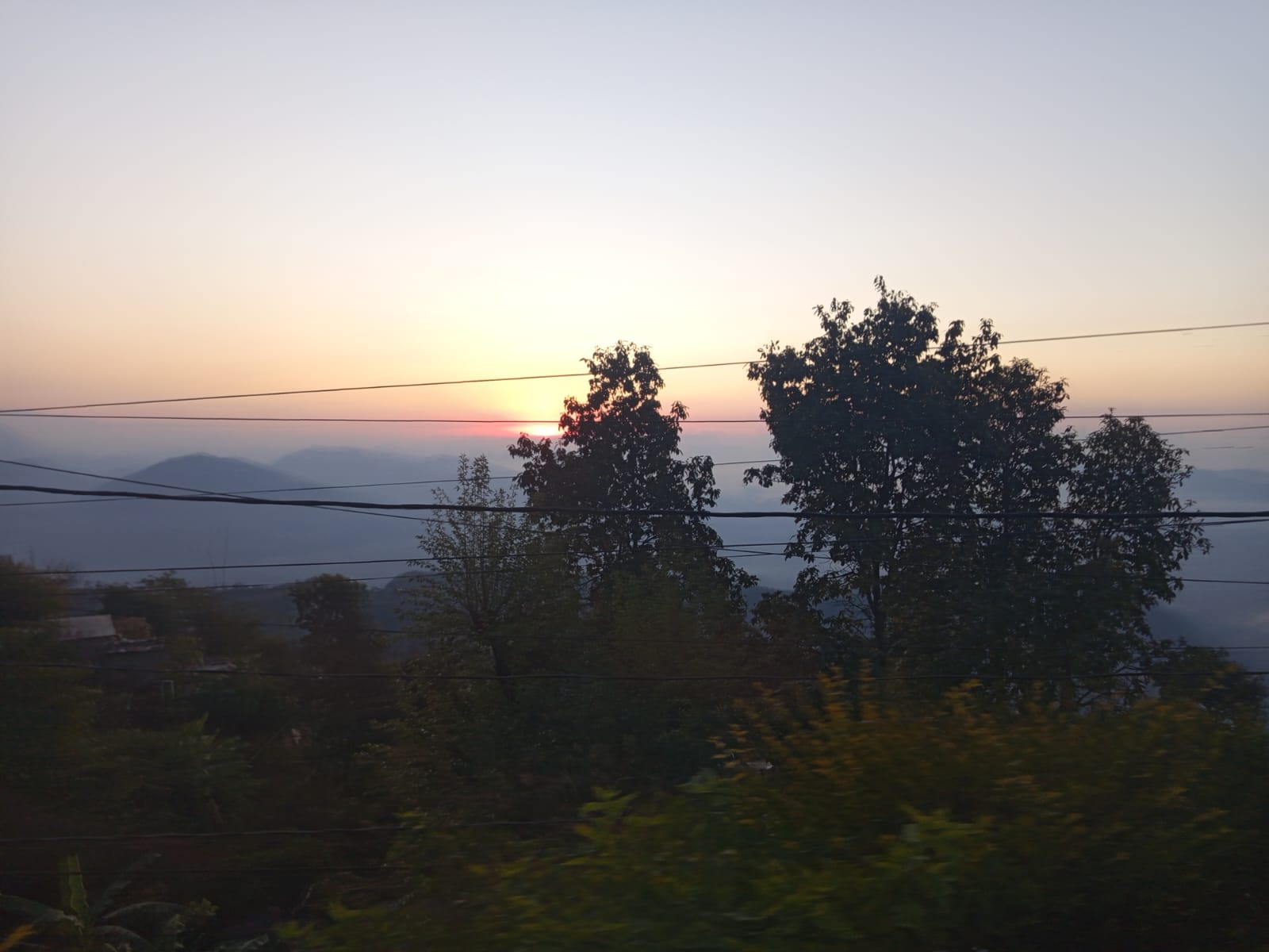 WhatsApp Image 2026 02 25 at 08.10.18