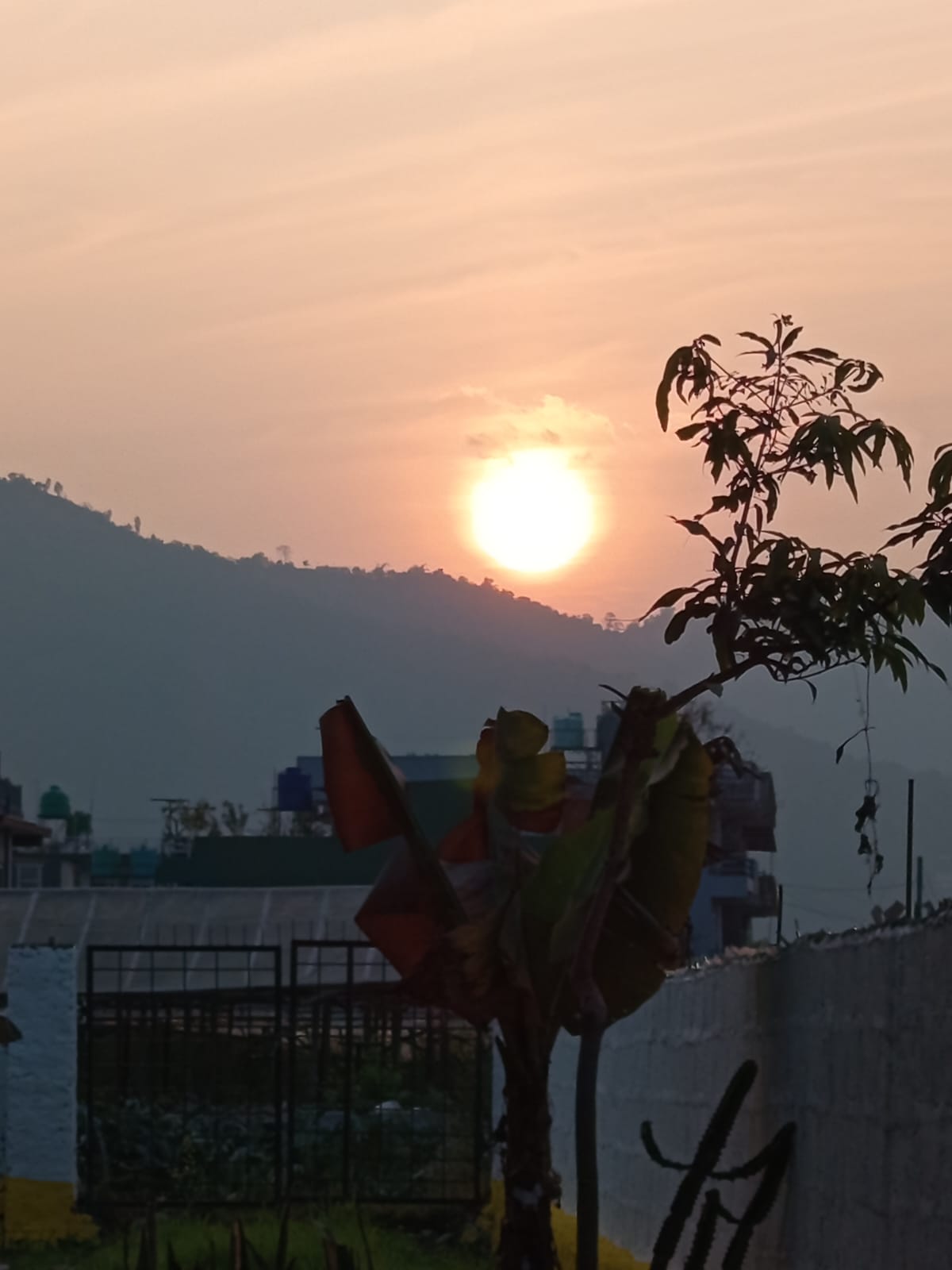 WhatsApp Image 2026 02 25 at 08.10.19