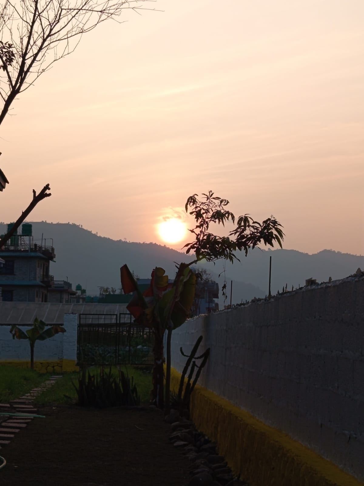 WhatsApp Image 2026 02 25 at 08.10.22